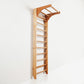 Wall Ladder Physiotherapy – Wooden Stall Bars for Home Gym, Physiotherapy, Stretching & Strength Training