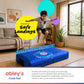Crash Pad – Soft Landing Sensory Cushion (6x4 ft) for Safe Jumping & Deep Pressure Play